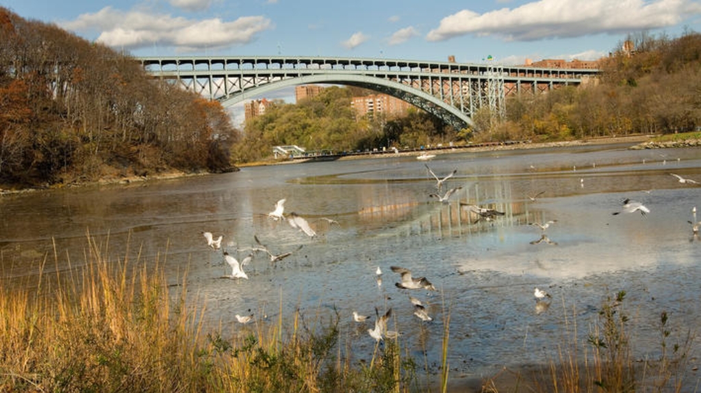 henry%20hudson%20bridge.jpg